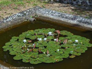 Lavoir et sa nappe fleurie
