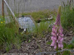 La Fontaine et le Lavoir de Lascaux