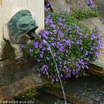 La Fontaine du Bourg
