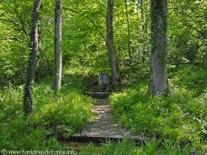 La Fontaine des Carmes