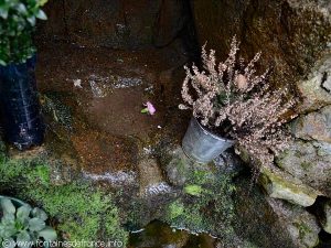 La Fontaine de l'Ecuellée