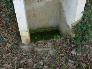 La Fontaine St-Vincent