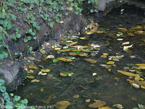La Fontaine Ste-Sardine