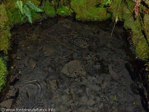 La Fontaine du Bois Maury