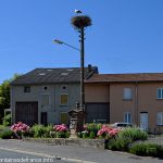 Cigogne sur son observatoire