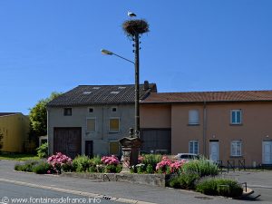 Cigogne sur son observatoire