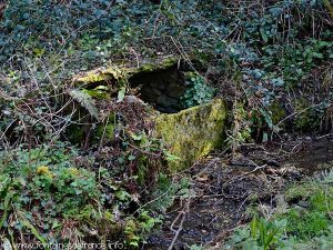 La Fontaine de Besnault