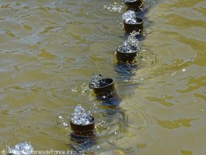 Fontaine "La Main de Cardot"