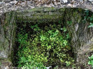 La Fontaine dite du Font Pion