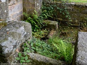 La Fontaine St-Nicolas