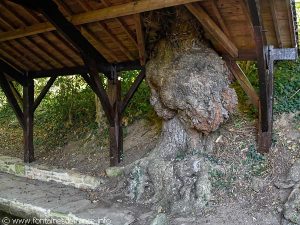 Particularité du Lavoir