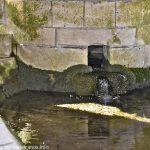 La Fontaine du Lavoir de Narçay