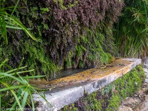 La Fontaine Place de Tarde