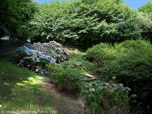 La Fontaine St-Théo
