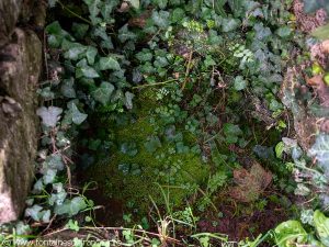 Source de la Chapelle de N-D de Brestant