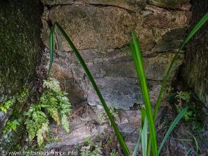 La Fontaine rue Marcel Cachin