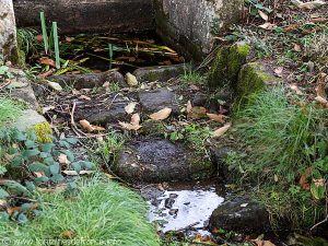 La Fontaine du petit bois de Kercadic