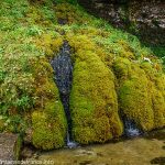 La Fontaine Pétrifiante
