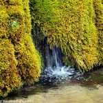 La Fontaine Pétrifiante
