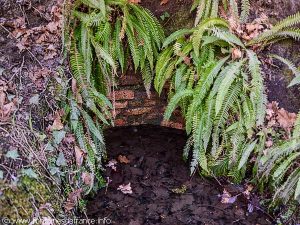 La Fontaine St-Antoine de Graoux