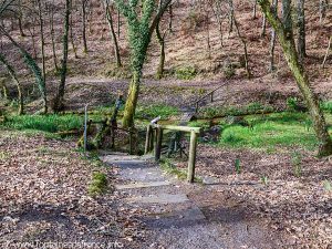 La Fontaine St-Michel
