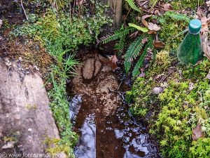La Fontaine St-Michel