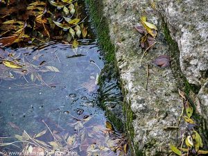 La Fontaine rue de la Fontaine