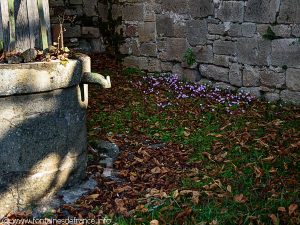 Le puits Fontaine de l'Eglise