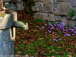 Le puits Fontaine de l'Eglise