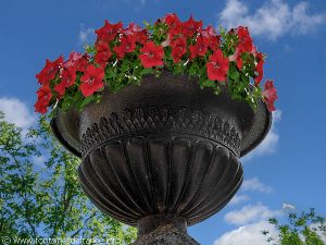 La Fontaine du lavoir-abreuvoir