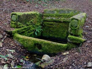 La Fontaine de La Véronique