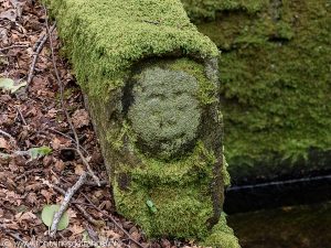 La Fontaine de La Véronique