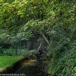La Source du Grand Lavoir