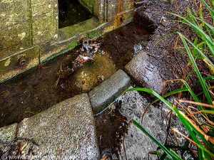 La Fontaine Ste-Anne de Keribin