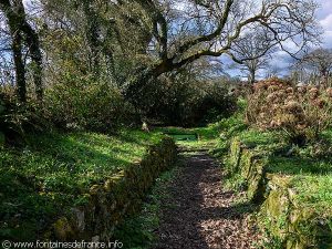 La Fontaine de Lothéa
