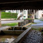 Abreuvoir et Lavoir de Greucourt