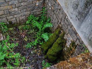 La Fontaine St-Jacques
