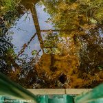 La Fontaine Notre-Dame