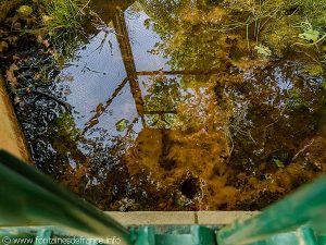 La Fontaine Notre-Dame