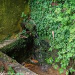 La Fontaine de Poyanne