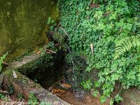 La Fontaine de Poyanne