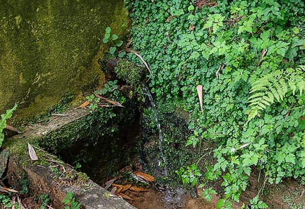 La Fontaine de Poyanne