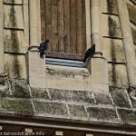 Clocher de l'église St-Laurent