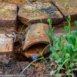 La Fontaine Dupéré dite Fontaine Salée