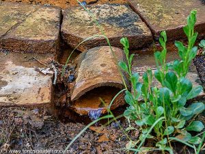 La Fontaine Dupéré dite Fontaine Salée