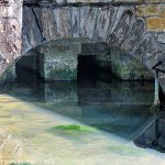 La Source de la Quenoche