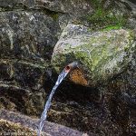 Fontaine N-D de Buglose