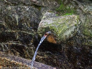 Fontaine N-D de Buglose