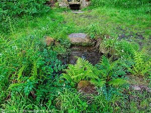 La Fontaine St-Pierre
