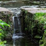 Fontaine-lavoir chemmin du Rupoez